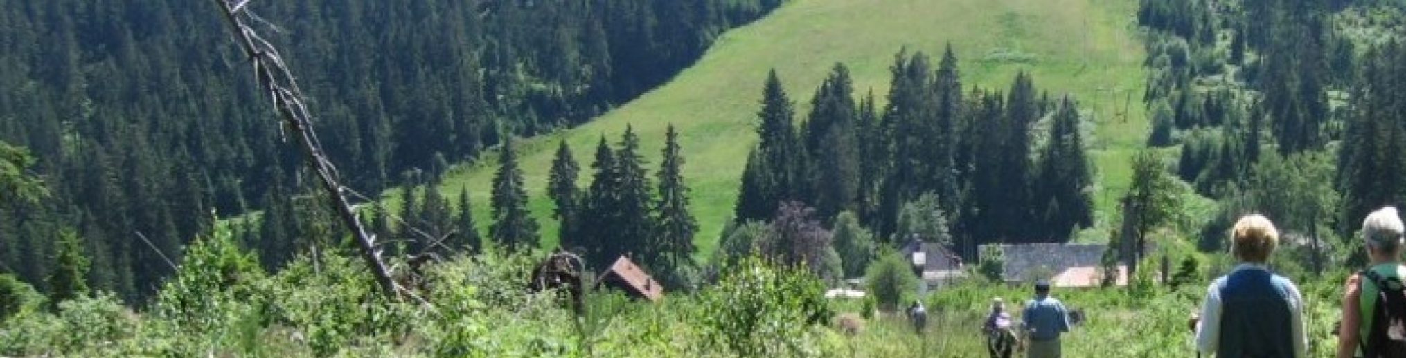 Schwäbischer Albverein | Ortsgruppe Reichenbach/Fils-Hochdorf