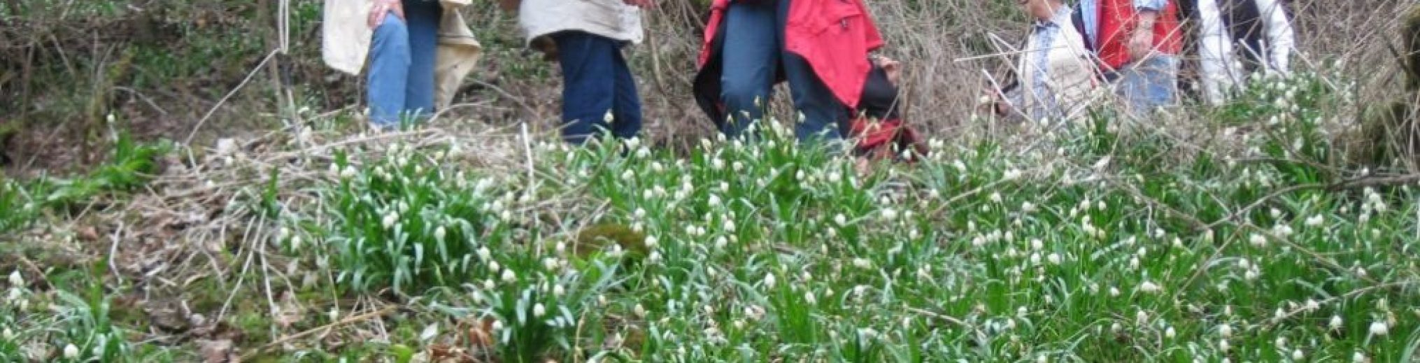 Schwäbischer Albverein | Ortsgruppe Reichenbach/Fils-Hochdorf